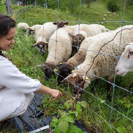 La Vieille Ferme, Ecogite Saint-Fulgence Exteriör bild