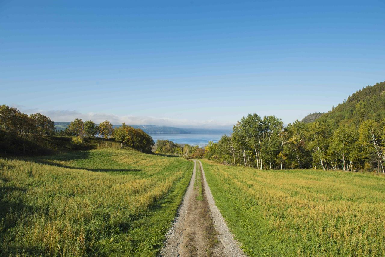 La Vieille Ferme, Ecogite Saint-Fulgence Exteriör bild